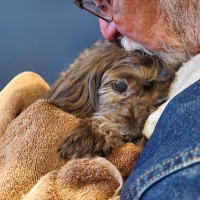 Derek2016gtcs's profile picture. I learned a lot from my little dog. Animals can teach us so much. Rest in peace Ozzie. 😢💔 No DMs please. 🙂