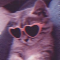 😩 (@oilookitsian) 's Twitter Profile