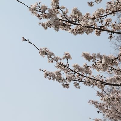 고고🕯さんのプロフィール画像