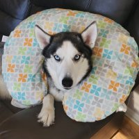 Opt (@optszn) 's Twitter Profile