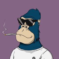 Brad (@bradprkr) 's Twitter Profile Photo Brad (@bradprkr) 's Twitter Profile Photo