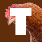 techlandia's profile picture. Techlandia is an on-going partnership of organizations & individuals from the private, public & educational sectors– all working together!