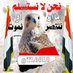 توفيق (@tl00l0) Twitter profile photo توفيق (@tl00l0) Twitter profile photo
