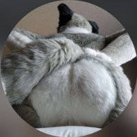 ๐ (@fursuitbum) 's Twitter Profile
