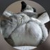🍑 (@fursuitbum) Twitter profile photo 🍑 (@fursuitbum) Twitter profile photo