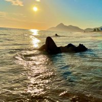 Daiane 🦋 (@daianemarcelle1) 's Twitter Profile Photo