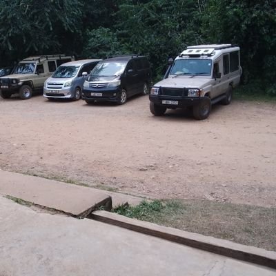 StevenVvug94073's profile picture. social Worker and a tour operator