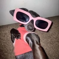 🍿 (@chismeteandoo) 's Twitter Profile Photo 🍿 (@chismeteandoo) 's Twitter Profile Photo
