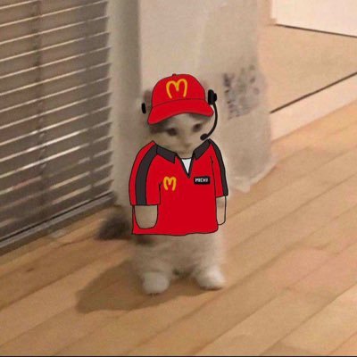 working at mickey D’s til further notice i guess