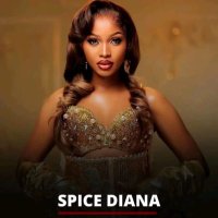 The_Spicegadgets (@thespicegadgets) 's Twitter Profile