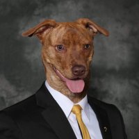 Don “busta” Johnson lV (@diddlerdon) 's Twitter Profile