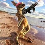 Coconut22_x 🇦🇺 🇩🇪 (@samizaustralije) 's Twitter Profile