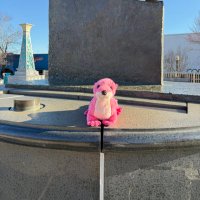 PHWOtter (@phwotter) 's Twitter Profile