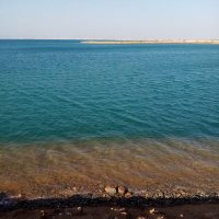 رمضان (@rmn218540783044) 's Twitter Profile