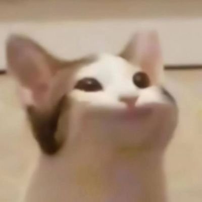 GatotPerka8566's profile picture. 