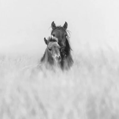 Terri87510383's profile picture. 