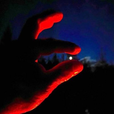 LesFreemanCdn's profile picture. If someone hits you with a stick, hit back with a         2”X 4”                                                       ~Wal King Small~