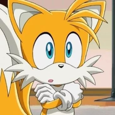 Tails, Silver, Shadow, Blaze truther