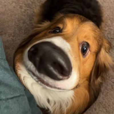 unsxxnbits's profile picture. museum of moments