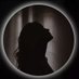 Zina (@pczinazen) Twitter profile photo Zina (@pczinazen) Twitter profile photo