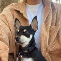 Claire π (@clairall_) 's Twitter Profile