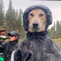 Jake Milkshake (@bagmonsta) 's Twitter Profile