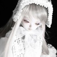 vidia (@kittenvidiaxo) 's Twitter Profile
