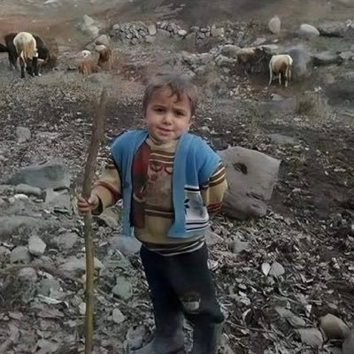 AkselGlsr's profile picture. 🇹🇷