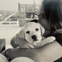 júlia (@juliablanchalso) 's Twitter Profile