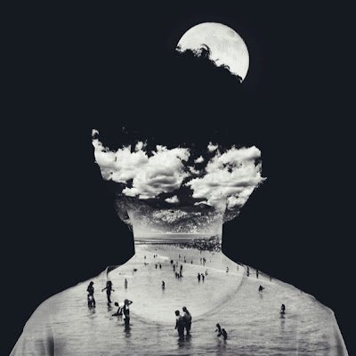 Flowseeker65486's profile picture. 