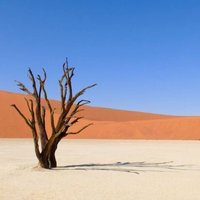 هاشِم (@u__eh) 's Twitter Profile Photo