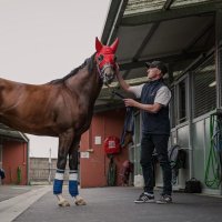 Nick Ryan Racing (@nryanracing) Twitter profile photo