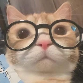 evermorells's profile picture. vestibulanda foco em med 🪩