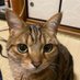 しょうちゃん (@shouichi196811) Twitter profile photo しょうちゃん (@shouichi196811) Twitter profile photo