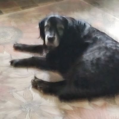 Ret_Trooper2205's profile picture. Retired State Trooper