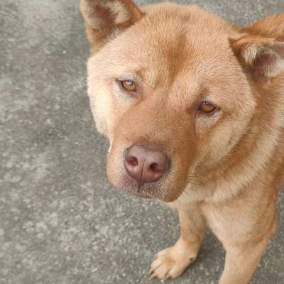 865823991Com's profile picture. 