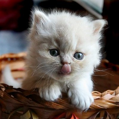 Gizli kalmayı seven, fantezilerini burada yaşayan bir kadın…
+18 / NSFW içerikler paylaşılır.
Tüm paylaşımlar kurgu & rızalıdır.