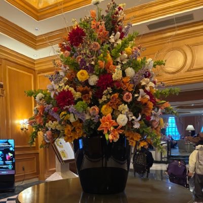 dearider's profile picture. イベントや、楽しいこと、美味しいこと等の情報収集♪思ったことや、愚痴を呟きます笑🙇‍♂️ #自分磨き #ダイエット #歌を歌うこと #居心地の良い空間作り #自分を大切に