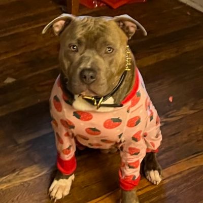 Tootiefn's profile picture. 15 | 🇺🇸| Comp player | @DTBYasin | 10.5k on yt