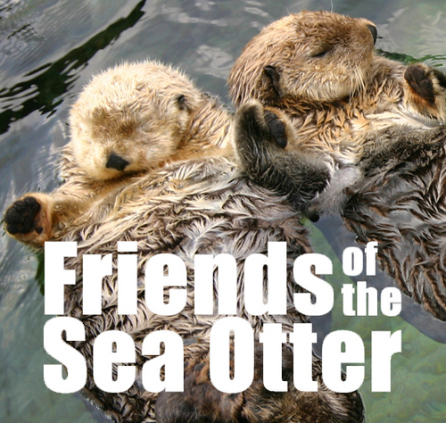 Friends of the Sea Otter (FSO) is an advocacy group, founded in 1968, dedicated to actively working for the preservation and recovery of the sea otter.