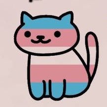 I'm just a manly man š I usually top but I can do a lot more šš I make content with my trans bf šš¤