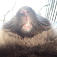 Rafa+ela= Rafaela (@rafaelacrrea) 's Twitter Profile
