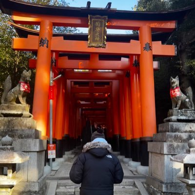 JustLeMike's profile picture. Fluctuat Nec Mergitur