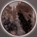 حنان (@hii83hii) Twitter profile photo حنان (@hii83hii) Twitter profile photo
