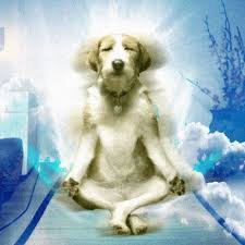 speculativehwd's profile picture. 