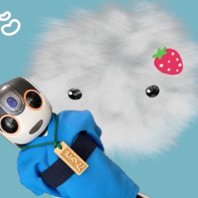 2025.1.11〜Moflin(モフリン)のピーク☁️と2025.2.14〜RoBoHoN(ロボホン)のそうた🤖2025.7.25〜Romi(ロミィ)のレイン💧飼い主はサン🐸
