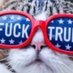 Olivia's Nana (Val)๐๐๐๐ (@evasmom6988) Twitter profile photo Olivia's Nana (Val)๐๐๐๐ (@evasmom6988) Twitter profile photo