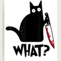 Barb Matheson 🌻🟧💙🌈 (@mathesonbarb) 's Twitter Profile