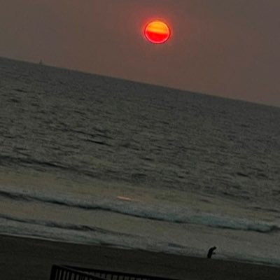 archiebunker357's profile picture. Look at the bargains over here, lady