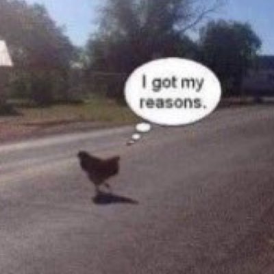 geeohhhhh's profile picture. “harmless with niche interests”